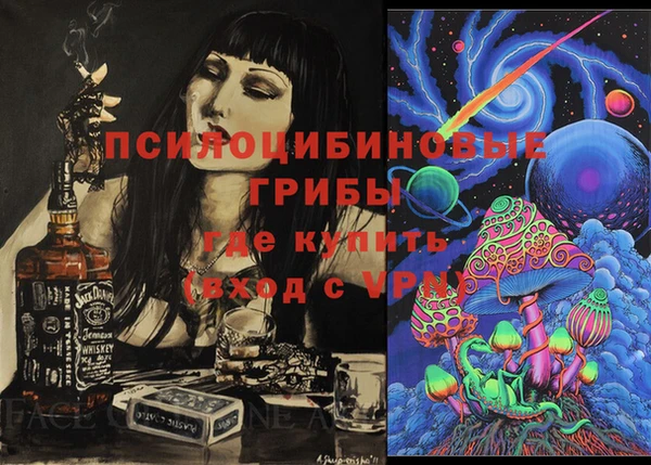 эйфоретик Алзамай